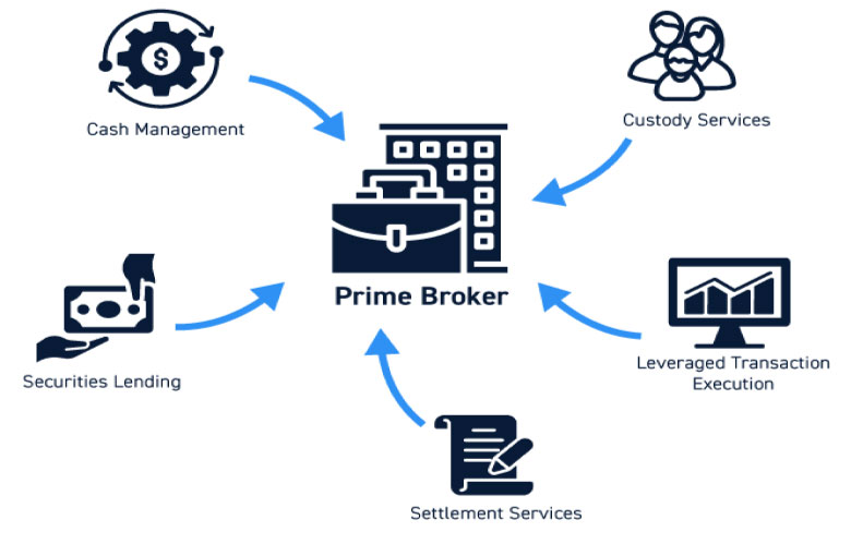 Digital Wealth Vault